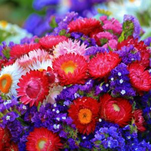 Vinilos decorativos florales