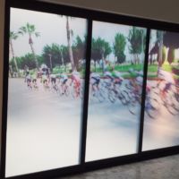 VINIL ESMERILADO IMPRESO SOBRE VIDRIO.