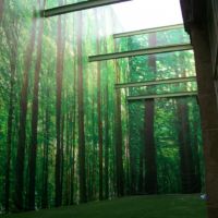 GRAN HOTEL  CIUDAD DE MEXICO  ZOCALO